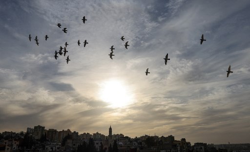 Des pigeons survolent le quartier Baddawi de Tripoli, au nord de Beyrouth, le 12 janvier 2022. (Photo, AFP)