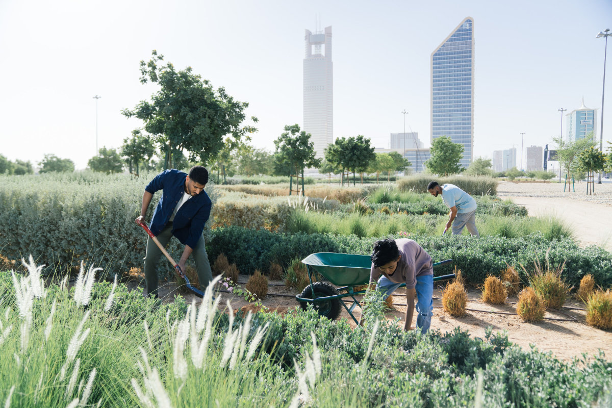 Le programme national d'écologisation de l'Arabie saoudite bat son plein depuis 2021. (Photo, SPA)