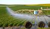 Les conséquences de la guerre commerciale entre les États-Unis et la Chine pour l'agriculture