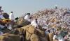 Le Hajj : un message de paix et d’unité en temps de division