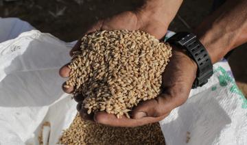 Au port de Yanbu, l’Arabie saoudite lance le plus grand terminal de grains de la région