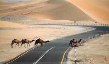 Abu Dhabi obtient un financement pour construire la plus grande centrale solaire du monde