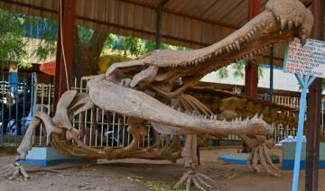 L'éclectique Musée national de Niamey, «miroir» du Niger 