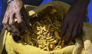 Sri Lanka: l'interdiction d'importer les biens «non essentiels» mal supportée