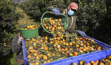 Après une récession en 2020, le Maroc devrait enfin souffler