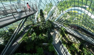 Les villes passent au vert: tour du monde en images