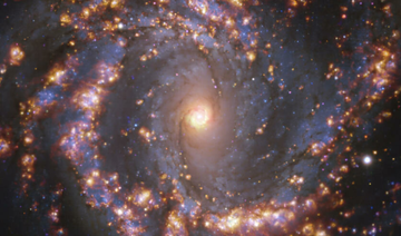 Des nuages de gaz aux étoiles: les pouponnières stellaires se dévoilent
