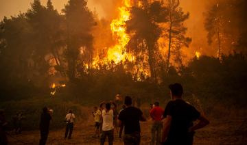 En Grèce, près de 100 000 hectares brûlés en deux semaines, triste record depuis 2007