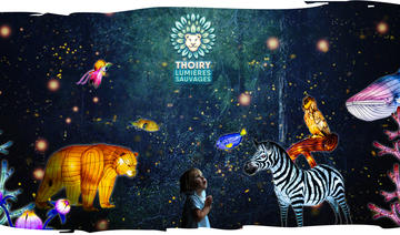 Thoiry Lumières Sauvages 2021-2022 