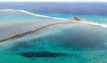 Marée noire à l'île Maurice en 2020: 20 mois de prison pour le capitaine du navire et son second