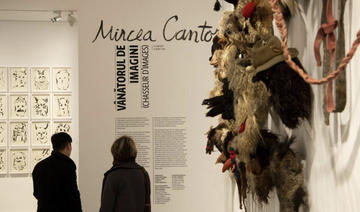 Mircea Cantor au Musée de la Chasse et de la Nature