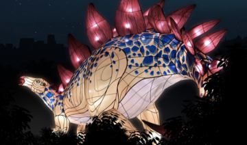 L'Évolution en voie d'illumination 