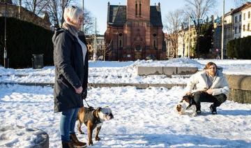 La Norvège interdit l'élevage de certaines races canines