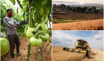 Une initiative américano-arabe s'attaque à la sécurité alimentaire dans la région MENA