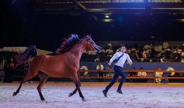 Dix vainqueurs couronnés lors du Championnat international du pur-sang arabe 