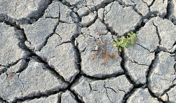 La Corse-du-Sud en «alerte sécheresse» avec restriction d'eau