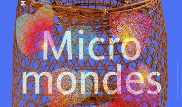 Micro Mondes, une exposition au musée du quai Branly