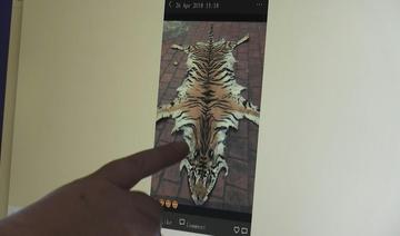 Un tigre dans l'ordinateur: l'intelligence artificielle contre le trafic de félins 