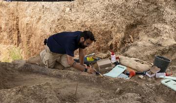 Découverte en Israël d'une défense d'éléphant datant de la préhistoire