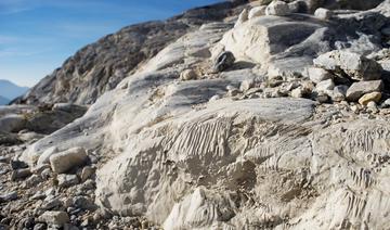 Glaciers menacés, faune et flore en danger: les Pyrénées en plein bouleversement