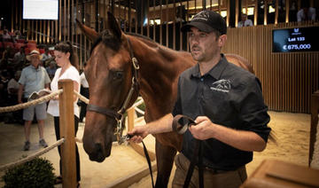 Ventes de yearlings records à Deauville à plus de 51 millions d'euros