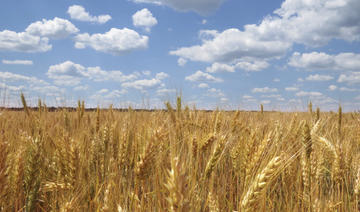 Sécurité alimentaire