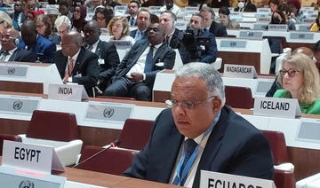 Un ambassadeur égyptien appelle à augmenter le financement du HCR