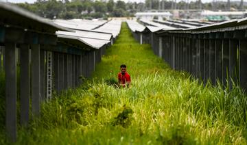 Vietnam: des promesses pour l'environnement, mais une addiction tenace au charbon