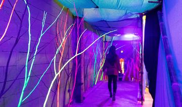 La Cité des Merveilles 2022 : Une incroyable expérience immersive 