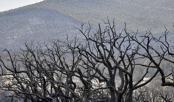 En Algérie, l’année 2022 a souligné l’urgence climatique
