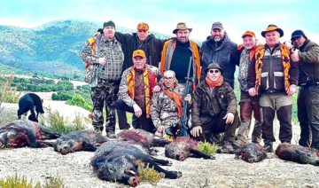 Chasse aux sangliers en Tunisie: Une interdiction non justifiée?