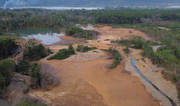 Dans l'eldorado colombien, la bataille des «dragons» d'or