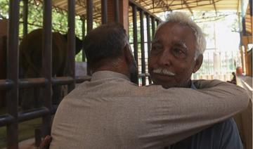 Emoi après le décès d'une éléphante dans un zoo du Pakistan