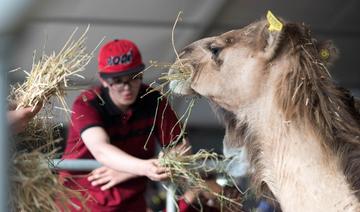 SIAM - Salon International de l'Agriculture au Maroc