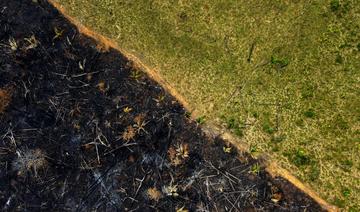 La déforestation en Amazonie en baisse de 31% lors des cinq premiers mois sous Lula