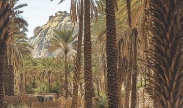 Arabie saoudite: Une destination touristique ouverte toute l'année