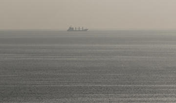 Le deuxième cargo de blé ukrainien est arrivé à Istanbul