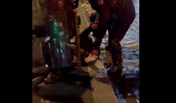 Manifestation propalestinienne à Paris: violences policières contre un protestataire