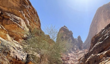La durabilité au cœur du Saudi Green Building Forum