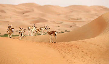 «Horizon Saudi Arabia» sur Netflix en janvier