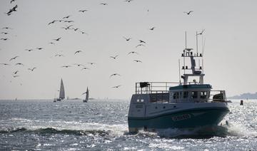 Les poissons d'Oman créent des remous dans un port en France