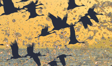 Le Liban, refuge de Biodiversité
