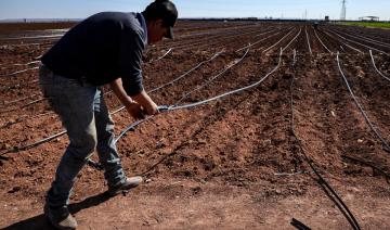 Développement des zones oasiennes et de l’arganier : les trois priorités de l’ANDZOA pour 2030