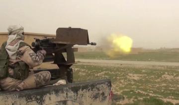 Syrie: 11 ramasseurs de truffes tués par des combattants de l'EI dans le désert 