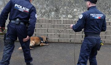 Les chiens renifleurs, une ressource convoitée avant les JO de Paris