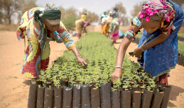Sécurité alimentaire en Afrique : Orienter les politiques agricoles vers les petits exploitants