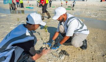 Plus de 100 personnes participent à la journée saoudienne de plantation de mangroves