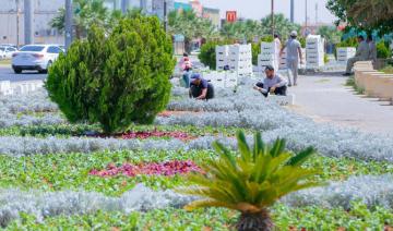 Arbres et fleurs embellissent Tabuk dans le cadre d'un projet de plantation municipale