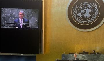 L'ONU annonce la Journée mondiale des jumeaux conjoints à la demande de l'Arabie saoudite