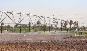 Irak: les fermiers innovent pour sauver la production de riz